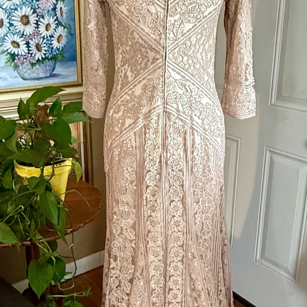 NWT Elegant Tadashi Shoji Tatiana Sequin Lace Gown in Beige/Champage Size 4 - Picture 2 of 10